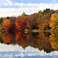 Autumn Explosion