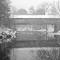 Snowy Crossing