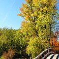 Autumnal North Bridge